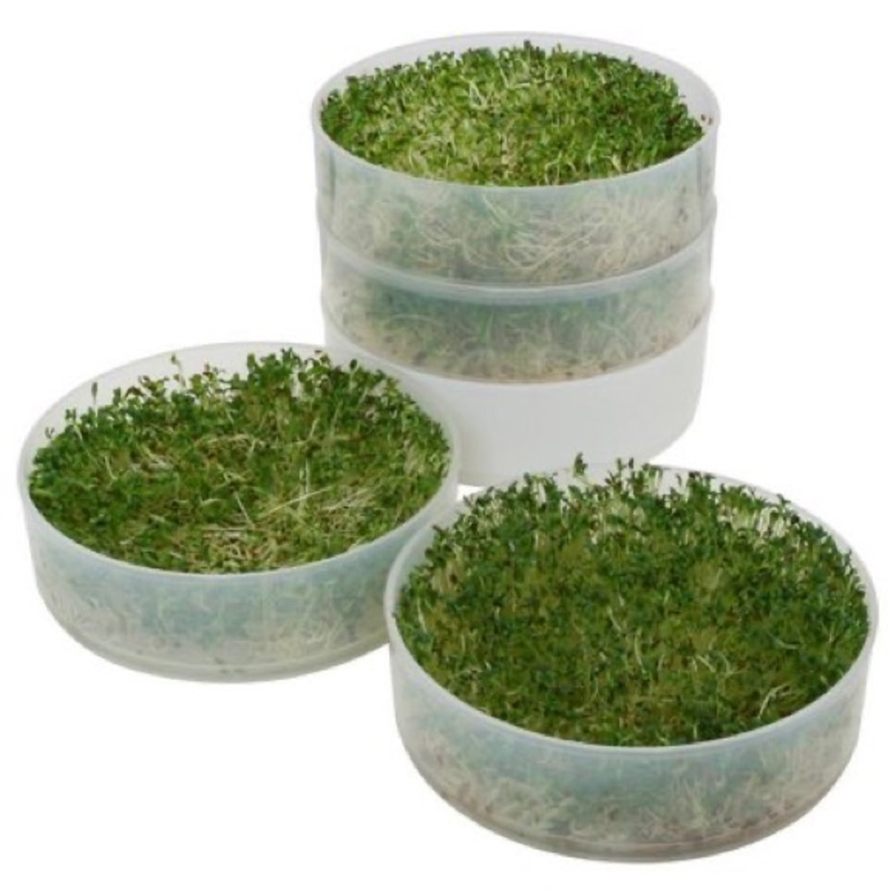 New Victorio 4-Tray Seed Sprouter